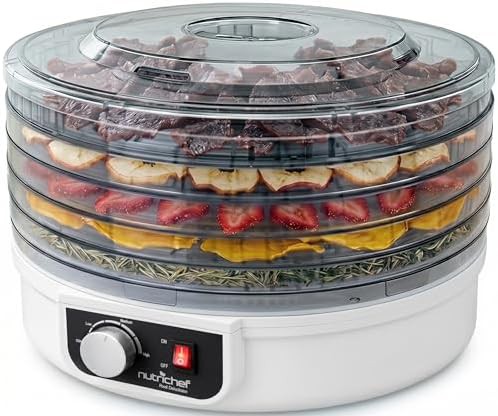Countertop fruit and snack food dryer