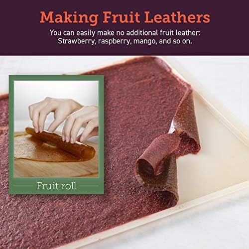 Fruit leather sheets for six trays — photo 3