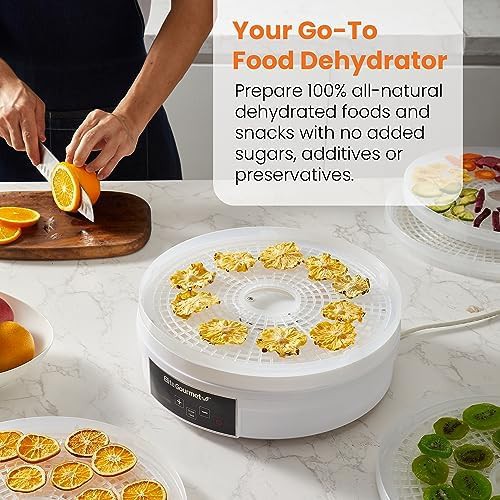 Digital food dehydrator with five circular trays — photo 3
