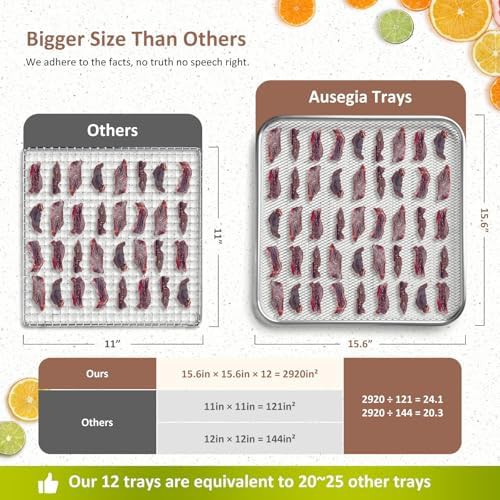 Commercial twelve tray 1200W stainless dryer — photo 4