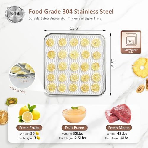 Commercial twelve tray 1200W stainless dryer — photo 5