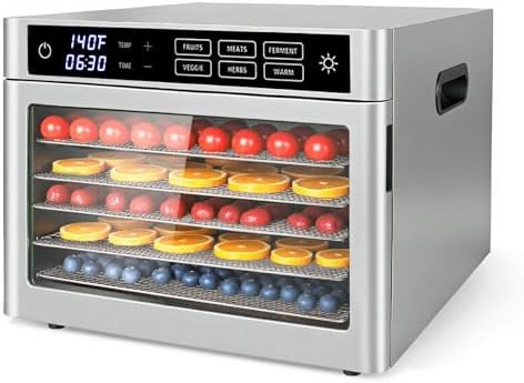 Stainless steel six tray digital dryer