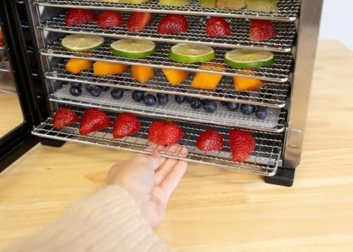 Stainless steel eight tray digital dryer — photo 4