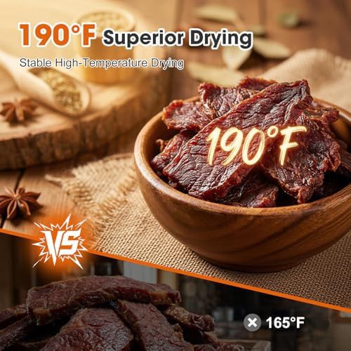 Black twelve tray stainless steel dehydrator — photo 4