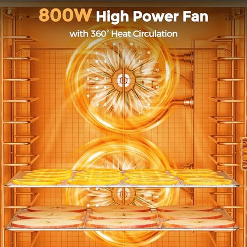 Twelve tray stainless steel preset dehydrator — photo 4